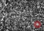 Standbild Football Game United States USA, 1962, aus Sekunde 28 historischem Filmmaterial Videoclip 65675057794