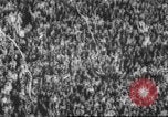 Standbild Football Game United States USA, 1962, aus Sekunde 29 historischem Filmmaterial Videoclip 65675057794