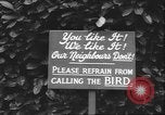 Image of Myna bird imitates people United Kingdom, 1958, second 6 stock footage video 65675057798