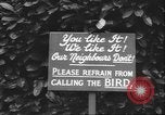 Image of Myna bird imitates people United Kingdom, 1958, second 9 stock footage video 65675057798