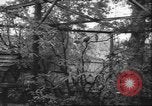 Image of Myna bird imitates people United Kingdom, 1958, second 11 stock footage video 65675057798