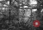 Image of Myna bird imitates people United Kingdom, 1958, second 12 stock footage video 65675057798