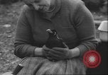 Image of Myna bird imitates people United Kingdom, 1958, second 30 stock footage video 65675057798