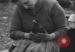 Image of Myna bird imitates people United Kingdom, 1958, second 31 stock footage video 65675057798