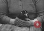 Image of Myna bird imitates people United Kingdom, 1958, second 39 stock footage video 65675057798