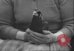 Image of Myna bird imitates people United Kingdom, 1958, second 40 stock footage video 65675057798