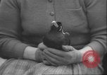 Image of Myna bird imitates people United Kingdom, 1958, second 48 stock footage video 65675057798
