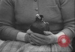 Image of Myna bird imitates people United Kingdom, 1958, second 49 stock footage video 65675057798