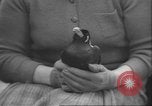 Image of Myna bird imitates people United Kingdom, 1958, second 50 stock footage video 65675057798