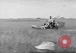 Immagine di Salvataggio di cervo Florida United States USA, 1960, secondo 8 filmato di repertorio 65675057800