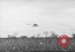 Immagine di Salvataggio di cervo Florida United States USA, 1960, secondo 13 filmato di repertorio 65675057800