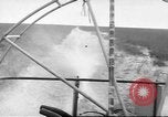 Immagine di Salvataggio di cervo Florida United States USA, 1960, secondo 14 filmato di repertorio 65675057800