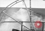 Immagine di Salvataggio di cervo Florida United States USA, 1960, secondo 15 filmato di repertorio 65675057800