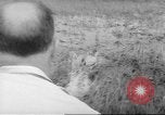 Immagine di Salvataggio di cervo Florida United States USA, 1960, secondo 21 filmato di repertorio 65675057800