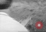Immagine di Salvataggio di cervo Florida United States USA, 1960, secondo 22 filmato di repertorio 65675057800