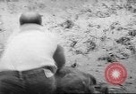 Immagine di Salvataggio di cervo Florida United States USA, 1960, secondo 26 filmato di repertorio 65675057800