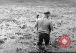 Immagine di Salvataggio di cervo Florida United States USA, 1960, secondo 32 filmato di repertorio 65675057800