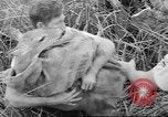 Immagine di Salvataggio di cervo Florida United States USA, 1960, secondo 44 filmato di repertorio 65675057800