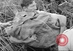 Immagine di Salvataggio di cervo Florida United States USA, 1960, secondo 45 filmato di repertorio 65675057800