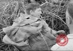 Immagine di Salvataggio di cervo Florida United States USA, 1960, secondo 46 filmato di repertorio 65675057800