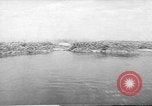 Immagine di Salvataggio di cervo Florida United States USA, 1960, secondo 47 filmato di repertorio 65675057800