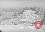 Immagine di Salvataggio di cervo Florida United States USA, 1960, secondo 51 filmato di repertorio 65675057800