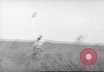 Immagine di Salvataggio di cervo Florida United States USA, 1960, secondo 53 filmato di repertorio 65675057800