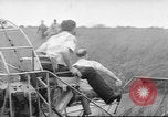 Immagine di Salvataggio di cervo Florida United States USA, 1960, secondo 55 filmato di repertorio 65675057800
