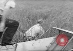 Immagine di Salvataggio di cervo Florida United States USA, 1960, secondo 57 filmato di repertorio 65675057800