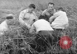 Immagine di Salvataggio di cervo Florida United States USA, 1960, secondo 61 filmato di repertorio 65675057800