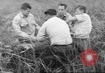Immagine di Salvataggio di cervo Florida United States USA, 1960, secondo 62 filmato di repertorio 65675057800