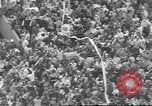 Immagine di Dieci grandi Minneapolis Minnesota USA, 1960, secondo 13 filmato di repertorio 65675057801