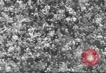 Immagine di Dieci grandi Minneapolis Minnesota USA, 1960, secondo 33 filmato di repertorio 65675057801
