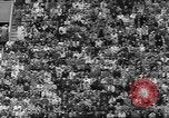 Immagine di Ivy League calcio Princeton New Jersey USA, 1960, secondo 8 filmato di repertorio 65675057802