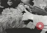 Image of nigh vision sniper scope  Burma, 1945, second 21 stock footage video 65675057827