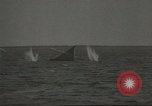 Immagine di United States Army Air Corps Hampton Virginia USA, 1940, secondo 42 filmato di repertorio 65675057837