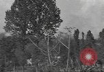 Image of 35th Division 320th Infantry Regiment Nancy France, 1944, second 50 stock footage video 65675057847