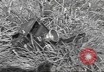 Standbild 35th Division 320th Infanterie Regiment Nancy Frankreich, 1944, aus Sekunde 45 historischem Filmmaterial Videoclip 65675057848