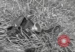 Standbild 35th Division 320th Infanterie Regiment Nancy Frankreich, 1944, aus Sekunde 47 historischem Filmmaterial Videoclip 65675057848
