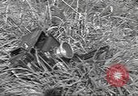 Standbild 35th Division 320th Infanterie Regiment Nancy Frankreich, 1944, aus Sekunde 48 historischem Filmmaterial Videoclip 65675057848