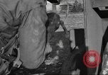 Standbild test Raketenwerfer Elsass Frankreich, 1944, aus Sekunde 56 historischem Filmmaterial Videoclip 65675057851