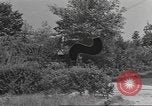 Immagine di La lotta contro il comando Mortain Francia, 1944, secondo 11 filmato di repertorio 65675057860