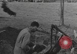 Immagine di La lotta contro il comando Mortain Francia, 1944, secondo 44 filmato di repertorio 65675057860