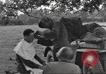 Immagine di La lotta contro il comando Mortain Francia, 1944, secondo 52 filmato di repertorio 65675057860