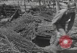 Image of Combat Command A Mortain France, 1944, second 30 stock footage video 65675057861