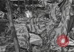 Image of Combat Command A Mortain France, 1944, second 40 stock footage video 65675057861