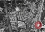 Image of Combat Command A Mortain France, 1944, second 41 stock footage video 65675057861