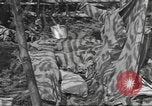 Image of Combat Command A Mortain France, 1944, second 42 stock footage video 65675057861