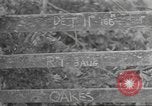 Standbild 35th Infantry Division Pont Bellenger Frankreich, 1944, aus Sekunde 5 historischem Filmmaterial Videoclip 65675057862