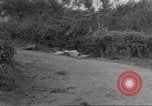 Standbild 35th Infantry Division Pont Bellenger Frankreich, 1944, aus Sekunde 28 historischem Filmmaterial Videoclip 65675057862